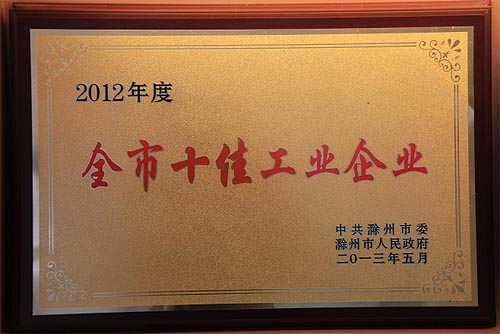 2012年度十佳工业企业